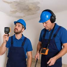 شركة كشف تسربات بجازان