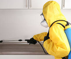 شركة مكافحة حشرات بالجبيل