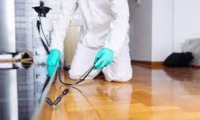 شركة مكافحة حشرات بالأحساء