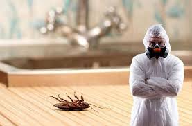 شركة مكافحة حشرات بالمزاحمية